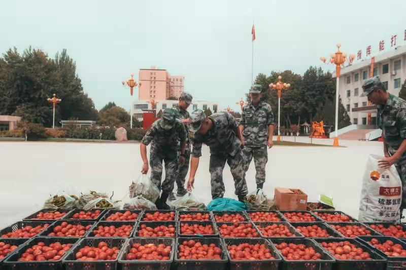 图片4.png
